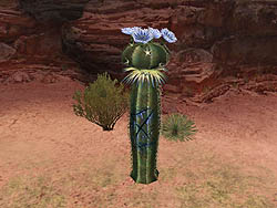 画像集#003のサムネイル/「MHF」大型アップデート「シーズン4.0 “雷臨、ベルキュロス”」アップデート情報第ニ報公開。待望の新フィールド「峡谷」が明らかに