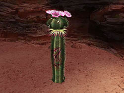 画像集#004のサムネイル/「MHF」大型アップデート「シーズン4.0 “雷臨、ベルキュロス”」アップデート情報第ニ報公開。待望の新フィールド「峡谷」が明らかに