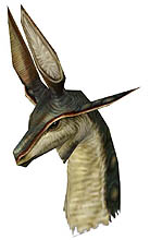 画像ギャラリー No.005のサムネイル画像 / ハンゲーム,「MHF」第2次OBTを本日スタート。公式メンバーサイトもオープンし,キャンペーンを追加