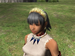 画像集#003のサムネイル/「MHF」イベント「教官の試練 再び!」を実施,オリジナル防具も登場