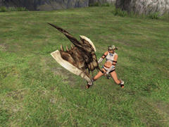 画像集#002のサムネイル/目指すは勝ち組クエストへの参加。「MHF」,第13回狩人祭を開催