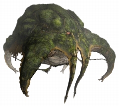 画像ギャラリー No.031のサムネイル画像 / 「MHF」シーズン7.0直前インタビュー:ラヴィエンテや開拓クエストなど気になる要素の詳細やシーズン6.0の気になるあれこれを聞いてきた