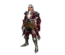 画像ギャラリー No.008のサムネイル画像 / 「MHF」次回大型アップデート「フォワード.2 “跳影、熱帯の猛き眷族”」は9月28日に実施。特典満載のプレミアムパッケージ情報が公開に