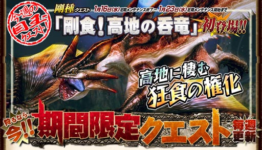 画像ギャラリー No.001のサムネイル画像 / 「MHF」天嵐への導きシリーズを本日より日替わりで1週間配信