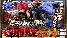 画像集#007のサムネイル/「モンスターハンター フロンティアG」,PC版およびPS3版のサーバー統合に伴う「全コース無料開放」サービスを本日スタート