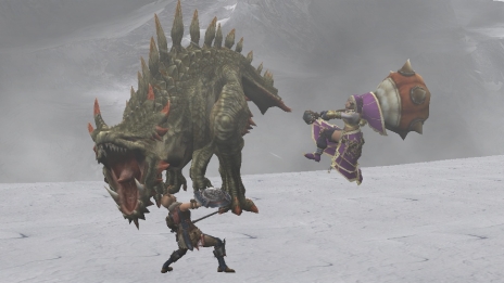 画像集#013のサムネイル/「MHF-G」に大型アップデート「G5」で実装される新たな仲間「パートニャー」の情報が公開。さまざまな形でハンターを手助けしてくれる可愛い相棒だ