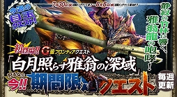 画像集#012のサムネイル/「MHF-G」,「僕の私のパートニャー」をテーマにしたSSコンテストが本日開始