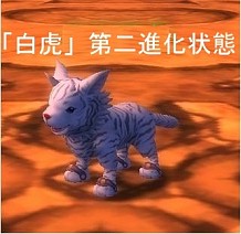 画像ギャラリー No.012のサムネイル画像 / 「81Keys」,ペット「白虎」の進化過程がさらに詳しく。花火大会も