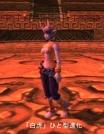 画像ギャラリー No.016のサムネイル画像 / 「81Keys」,ペット「白虎」の進化過程がさらに詳しく。花火大会も