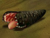 画像集#004のサムネイル/「NOSTALE」,新シナリオ“Act3「超危険生物の出現」”を本日実装