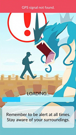 Access Accepted508󡧡Pok&#xE9;mon GOץեС˸AR