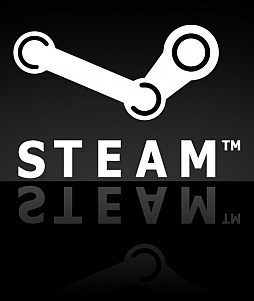 Access Accepted546󡧥꡼᤮SteamοPC