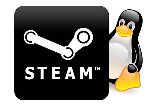 画像ギャラリー No.002のサムネイル画像 / Valveの「Steam」および「Source Engine」が,Linuxに対応