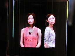 画像ギャラリー No.011のサムネイル画像 / DIGITAL CONTENT EXPO 2009で見た立体映像デバイスの最先端情報