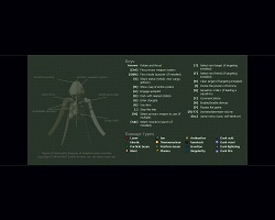 画像ギャラリー No.006のサムネイル画像 / インディーズゲームの小部屋:Room#130「Transcendence」