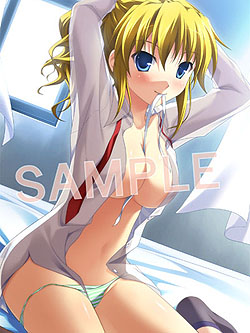 画像ギャラリー No.016のサムネイル画像 / 4Gamerの1週間を振り返る「Weekly 4Gamer」2011年8月20日〜8月26日分