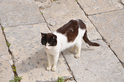 画像ギャラリー No.020のサムネイル画像 / 4Gamerの1週間を振り返る「Weekly 4Gamer」2017年4月15日〜4月21日