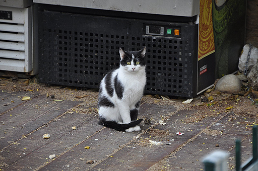 画像ギャラリー No.021のサムネイル画像 / 4Gamerの1週間を振り返る「Weekly 4Gamer」2017年4月15日〜4月21日