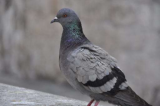 画像ギャラリー No.023のサムネイル画像 / 4Gamerの1週間を振り返る「Weekly 4Gamer」2017年4月15日〜4月21日