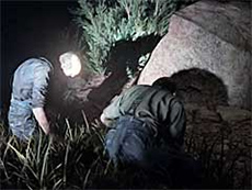 画像ギャラリー No.021のサムネイル画像 / 4Gamerの1週間を振り返る「Weekly 4Gamer」2017年5月20日〜5月26日