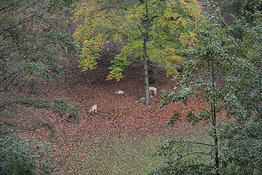 画像ギャラリー No.016のサムネイル画像 / 4Gamerの1週間を振り返る「Weekly 4Gamer」2017年10月28日〜11月3日