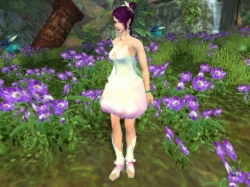 画像ギャラリー No.011のサムネイル画像 / 「CHUSEN 2」,1月大型アップデート「仙界遊戯」が本日実施