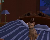 The Sims Pet StoriesMacintosh