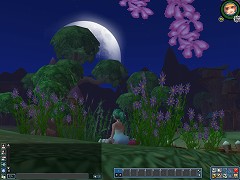 画像集#008のサムネイル/MMORPG「Secret Online」,クローズドβテストが本日スタート