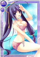 画像ギャラリー No.002のサムネイル画像 / 「ぱいろん」オリジナルキャラ「トーコ」「るきの」の2011年夏限定カード実装