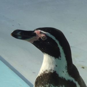 画像ギャラリー No.003のサムネイル画像 / リミックスアルバム「More SQ」参加アーティストがすべて判明