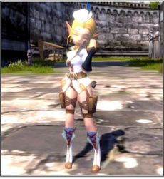 画像ギャラリー No.010のサムネイル画像 / 「ドラゴンネスト」アップデート実施で強化アイテムが統合。武器アバターもセットになった“ダークナイツパッケージ”が登場