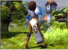 画像ギャラリー No.015のサムネイル画像 / 「ドラゴンネスト」アップデート実施で強化アイテムが統合。武器アバターもセットになった“ダークナイツパッケージ”が登場