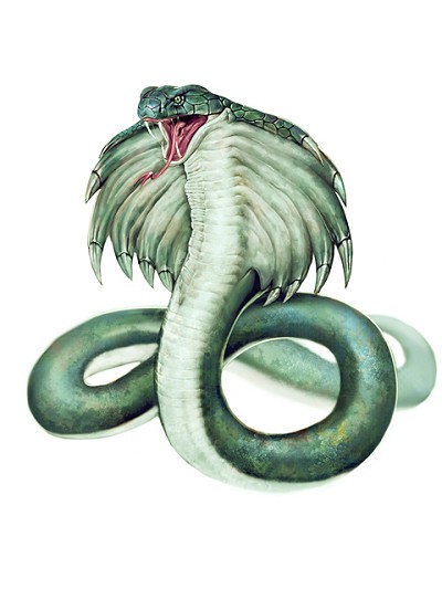 画像ギャラリー No.010のサムネイル画像 / 「三国志豪傑伝」に本日新マップ実装。「暗闇の洞窟」に巣くうキングコブラを倒して強力な馬装身具を入手しよう