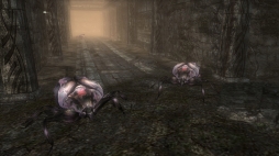 画像ギャラリー No.008のサムネイル画像 / 「Wizardry Online」,新ダンジョン「荒廃の廓」の追加情報が公開に