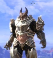 画像ギャラリー No.005のサムネイル画像 / 「TERA」,プレミアムパッケージの発売記念イベントを秋葉原にて本日開催