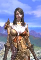 画像ギャラリー No.006のサムネイル画像 / 「TERA」,プレミアムパッケージの発売記念イベントを秋葉原にて本日開催