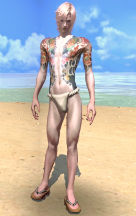 画像ギャラリー No.016のサムネイル画像 / 「TERA」の大型アップデート「連盟」が本日実施。都市単位で構成される勢力同士で交流や対立を繰り広げるコミュニティコンテンツ