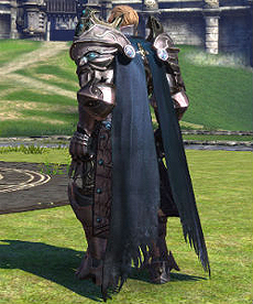 画像集#006のサムネイル/「TERA」,新クラス「ソウルリーパー」の特設サイトが本日更新。スキルや専用装備,ファッションアイテム,キャラメイク情報などが公開に