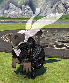 画像集#009のサムネイル/「TERA」,新クラス「ソウルリーパー」の特設サイトが本日更新。スキルや専用装備,ファッションアイテム,キャラメイク情報などが公開に