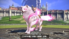 画像ギャラリー No.017のサムネイル画像 / 「TERA:The Exiled Realm of Arborea」,ムーングレイバーの追加情報を公開。専用アバターなどがもらえる新クラス実装直前イベントを開催