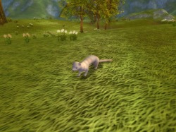 画像ギャラリー No.013のサムネイル画像 / 「MysticStone -Runes of Magic-」,本日のアップデートで“ペットシステム”や新たな“マップイベント”など多数のコンテンツを実装