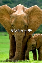 画像ギャラリー No.004のサムネイル画像 / ズー,アクションパズル「Weather Touch for iPhone」を配信中