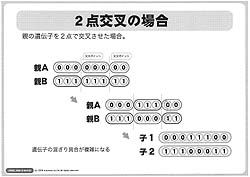 CEDEC 200808ʪˤ褦ʥŪ르ꥺ