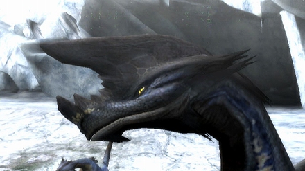 画像ギャラリー No.009のサムネイル画像 / 「モンスターハンター3(トライ)」,催眠効果のある体液を吐きかける新モンスターのドスバギィを紹介