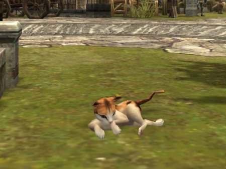 画像ギャラリー No.006のサムネイル画像 / 「アルカディアサーガ」,必ず装備がもらえる“武闘派コッコ”登場