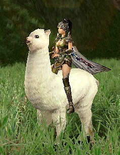 画像ギャラリー No.003のサムネイル画像 / 「三国群英伝ONLINE2」CBTが本日より実施中。参加特典は「白アルパカ」