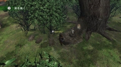 画像集#003のサムネイル/Wii「モンスターハンターG」,シングルモードの拠点“ココット村”の情報が公開