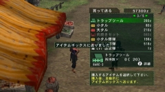 画像集#006のサムネイル/Wii「モンスターハンターG」,シングルモードの拠点“ココット村”の情報が公開