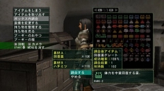 画像集#010のサムネイル/Wii「モンスターハンターG」,シングルモードの拠点“ココット村”の情報が公開