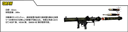 ɥޥ114ȯΡOPERATION FLASHPOINT: DRAGON RISINGפо줹/ʼɲþ